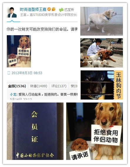 热心公益 北京王嘉化妆学校师生捐资希望工程,为保会动物努力