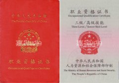 王嘉化妆学校高级化妆师资格证书报考通知
